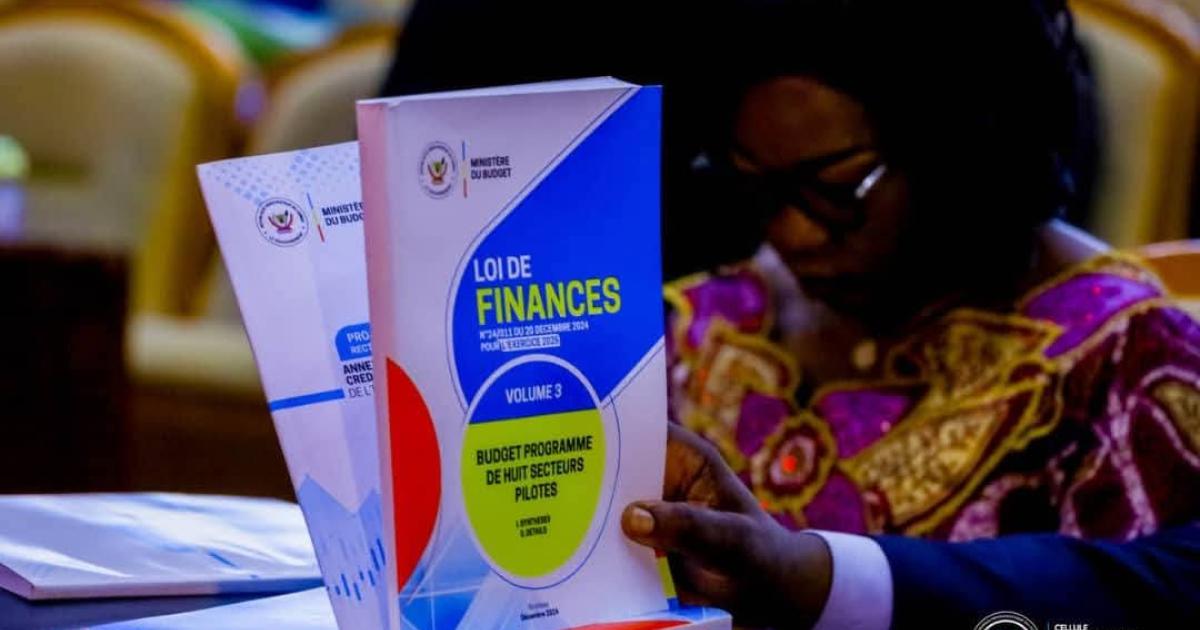 Loi de finances rectificative 2025