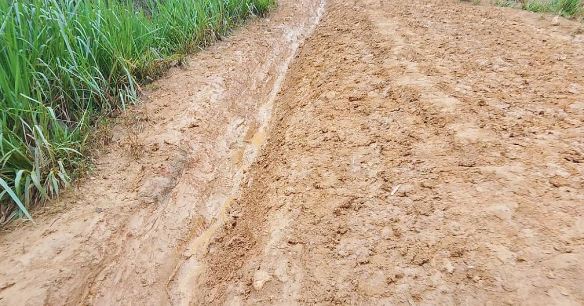 L’axe routier Walikale–Kibua