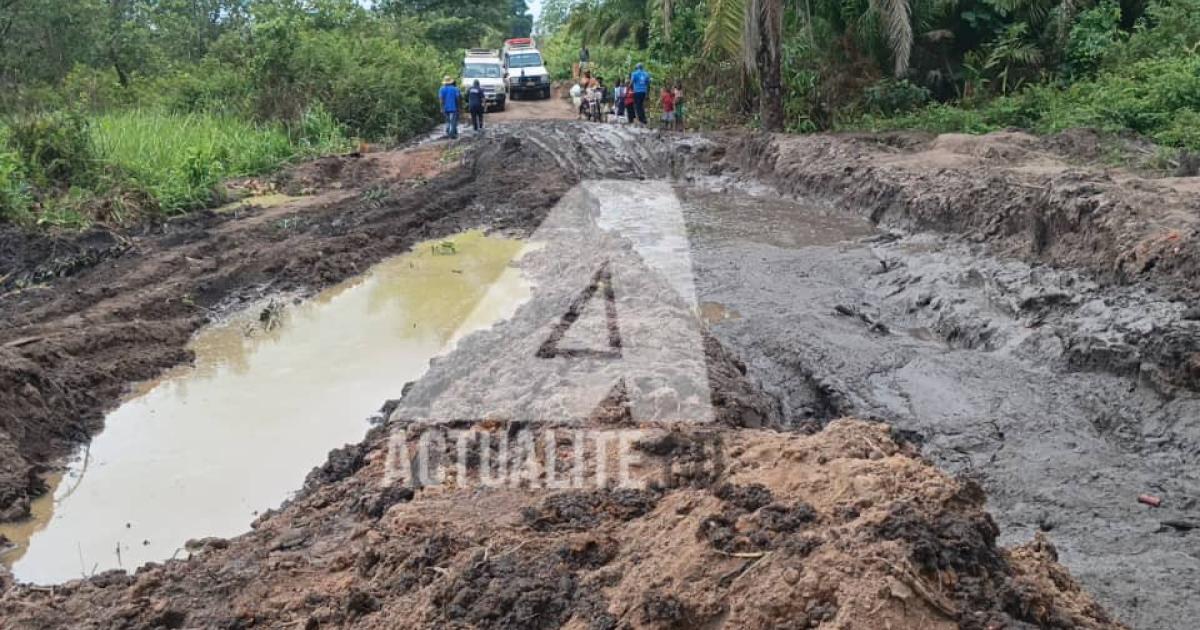 La route Nyunzu-Kongolo dans la province du Tanganyika 