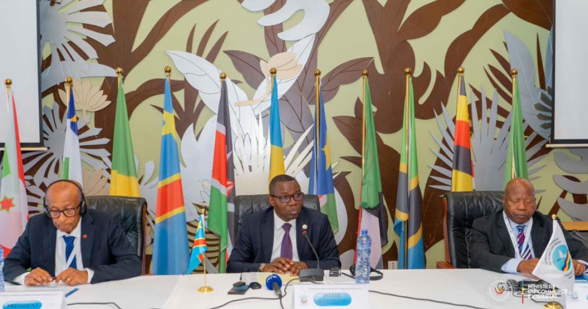 19ᵉ réunion des Chefs d’État-major des forces de défense de la Conférence internationale sur la région des Grands Lacs (CIRGL) à Kinshasa