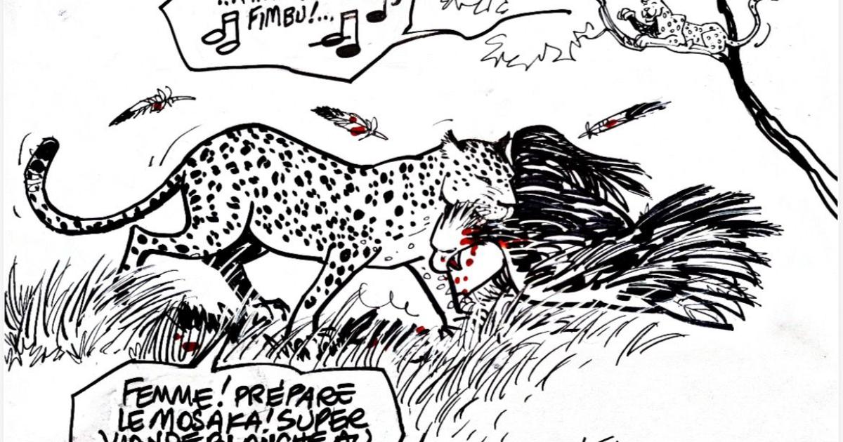 Caricature Kash/ACTUALITE.CD