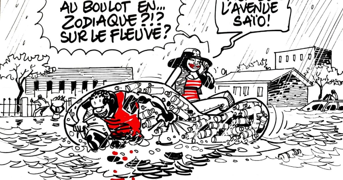 Caricature Kash/ACTUALITE.CD