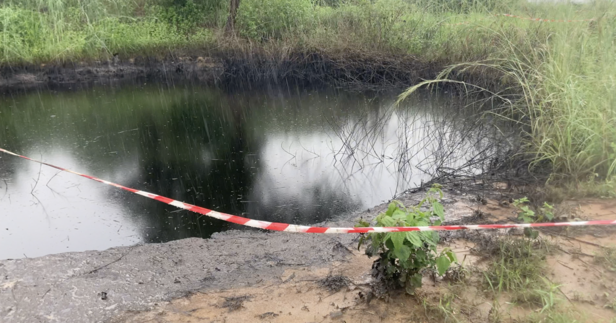 Nappe d'huile. Parc Marin des Mangroves. Muanda, RDC, 2024. Documents PPLAAF–TBIJ