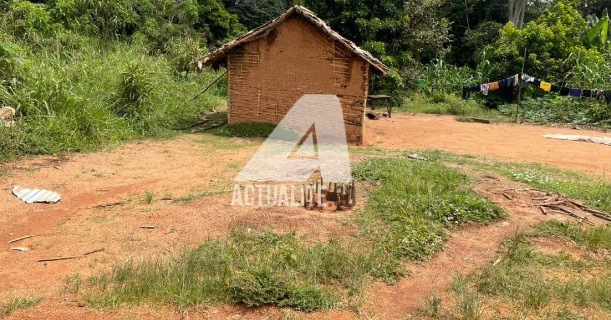 Une case à Butiaba 2, l’ancien QG de Roi des imbéciles, sur l’axe Mambasa-Beni.