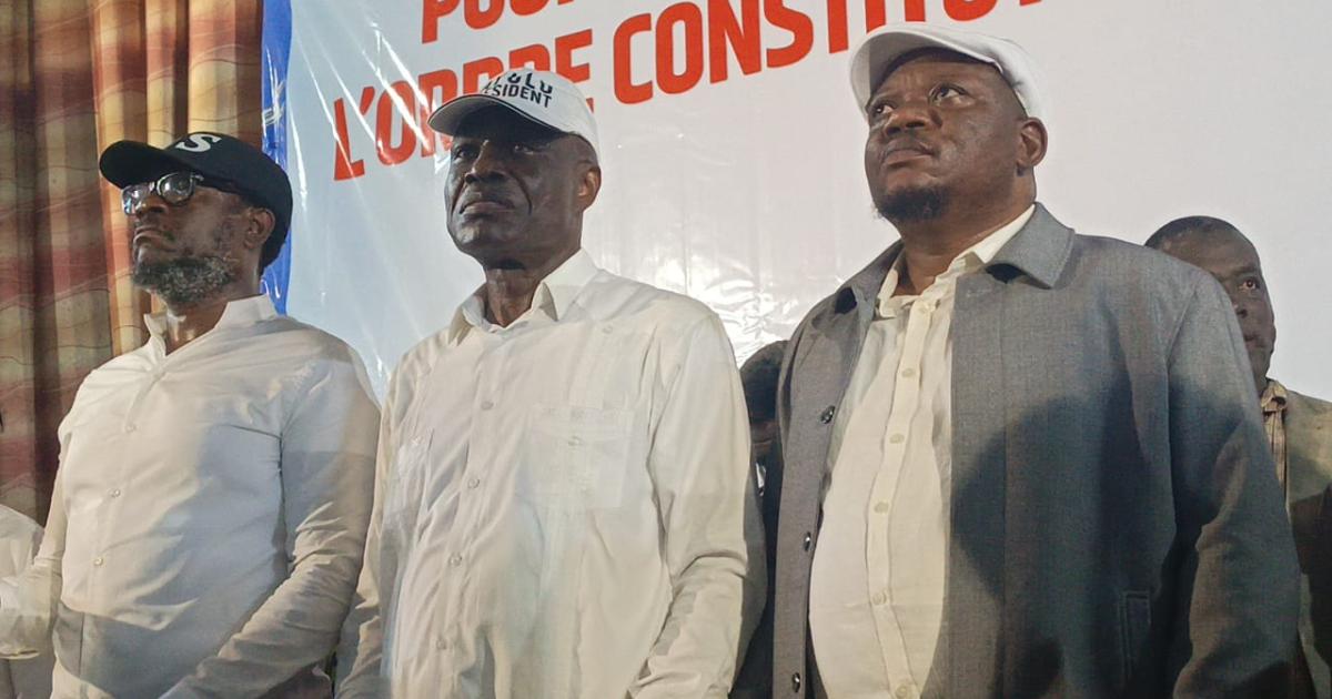 Sesanga, Fayulu et Kabund