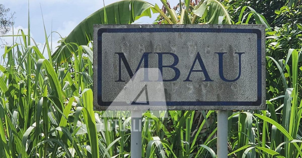 Mbau, dans le territoire de Beni