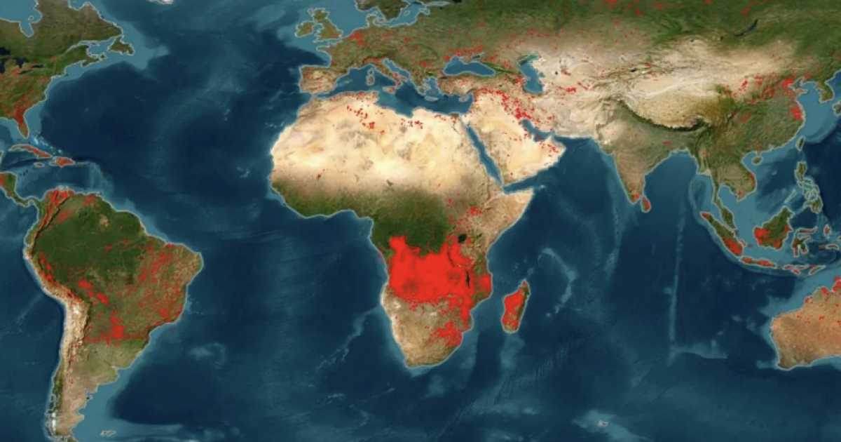 Carte des feux dans le monde le 29 juillet 2026, selon la plateforme FIRMS - Capture d'écran FIRMS / NASA