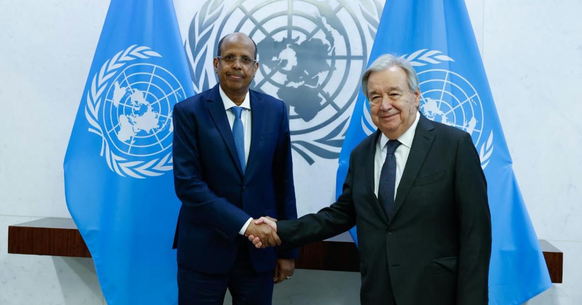 In New York, the UN and AU agree on the need for continued support for Togo's mediation to resolve the crisis in Eastern DRC