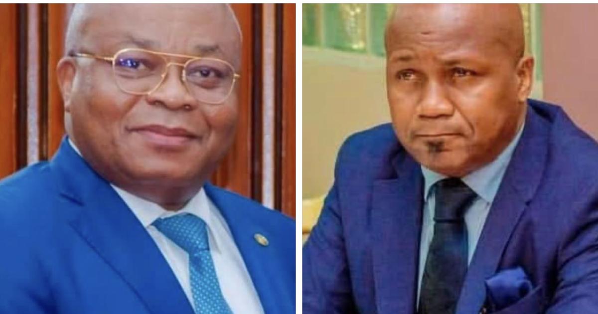 DRC: A lawyer contests the proposed law on the referendum and challenges its initiator in a public debate