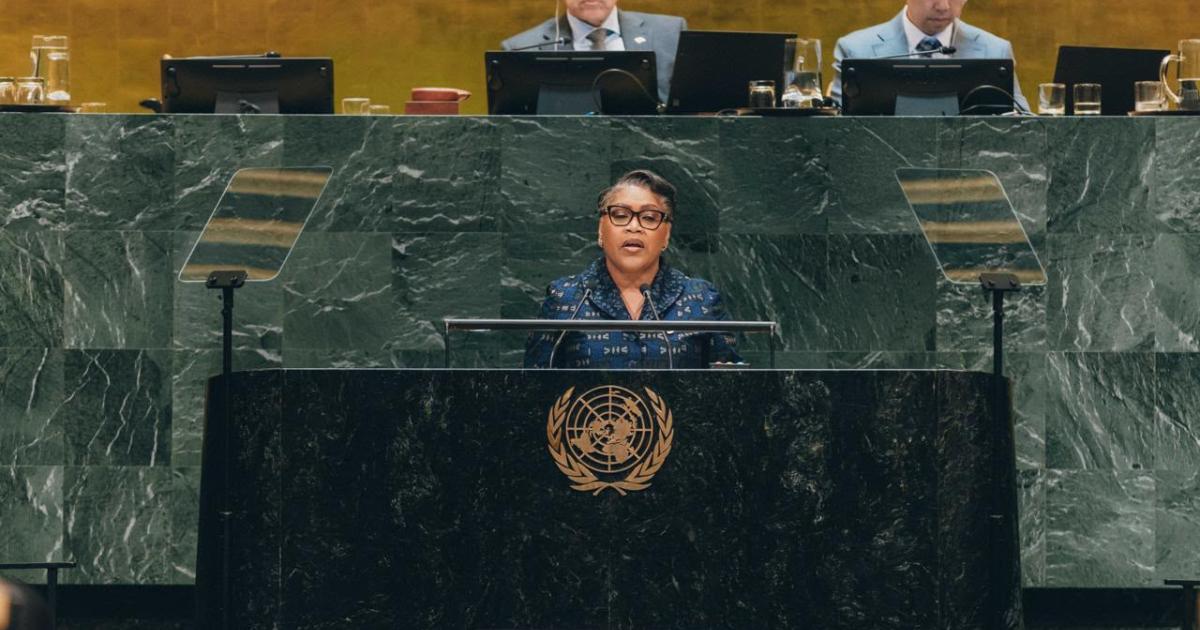 DRC Kinshasa: FDLR Accord Ends UN Foreign Military Presence Rationale
