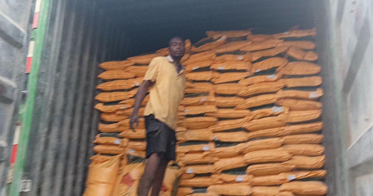 Kasaï-Oriental: 7,500 bags of maize flour received in Mbuji-Mayi as residents call for affordable sales for low-income households