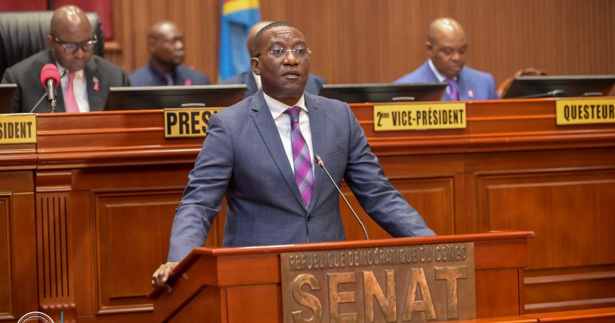 DRC: Senate unanimously ratifies ordinance-law organizing statistical activity
