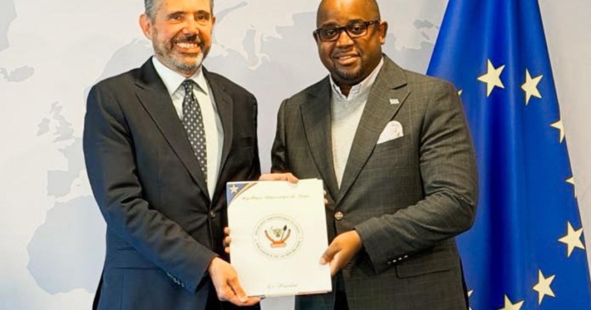 Paix dans les Grands Lacs:Kinshasa mobilise ses partenaires européens autour du processus de désarmement des FDLR