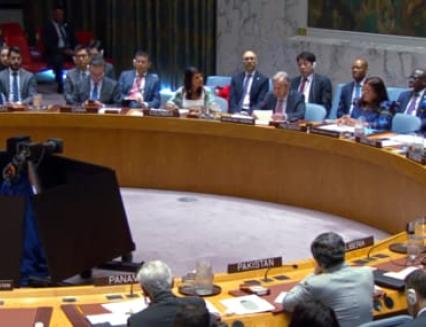 Conseil de sécurité de l'ONU