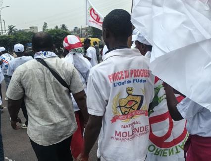 Des militants de l'UDPS