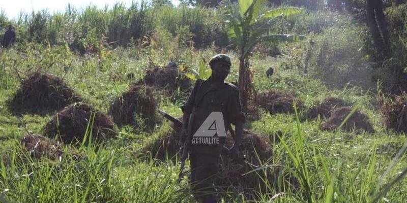 Un militaire au champ de bataille près dans la périphérie de Beni 