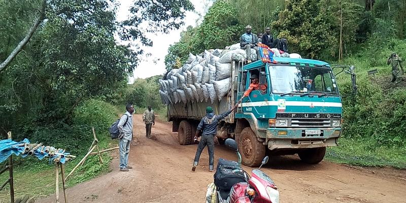 Une barrière érigée dans l'est de la RDC / Ph. droits tiers 