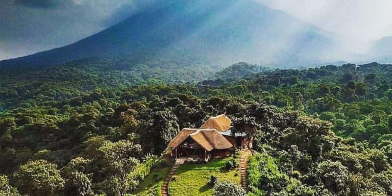 Nord-Kivu : l'ICCN autorise la récolte dans le secteur Est du parc des Virunga | Actualite.cd