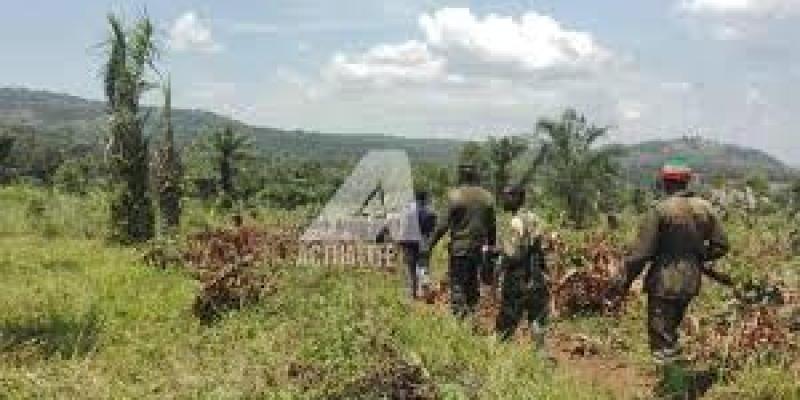 Forces Armées de la République démocratique du Congo. Ph/Actualite.cd 