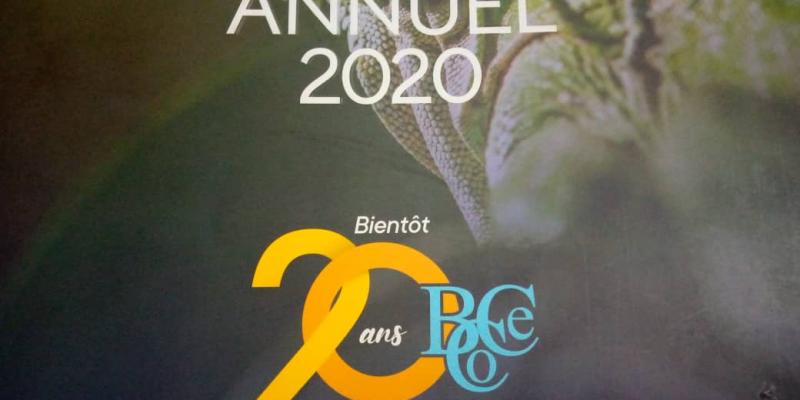 Rapport annuel 2020 du Bureau Central de Coordination. Ph. ACTUALITE.CD