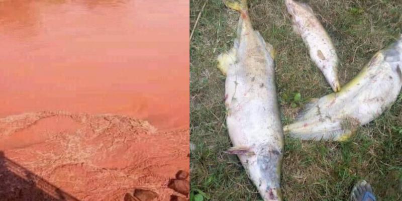 Les effets de la pollution des rivières congolaises 