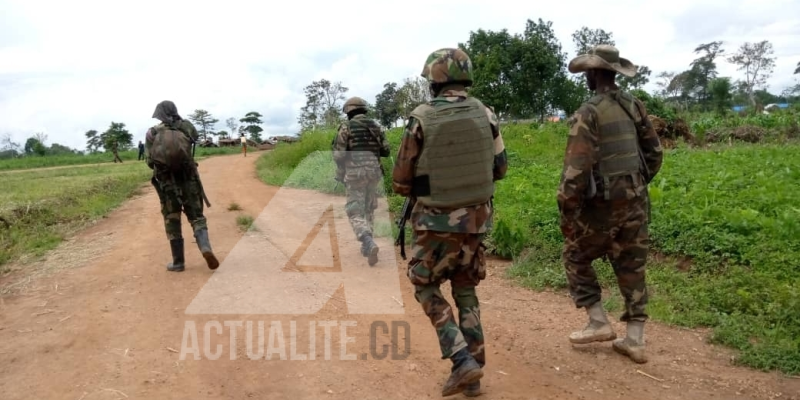 Les FARDC et les casques bleus malawites en patrouille dans le territoire de Beni