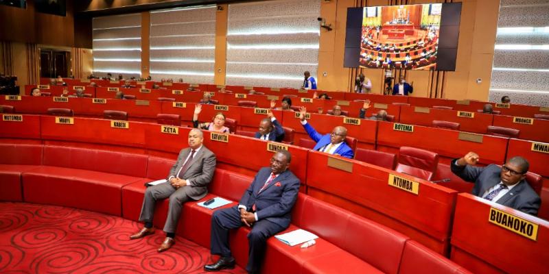 Les sénateurs Samy Badibanga Ntita et Louis Mbonga Magalu