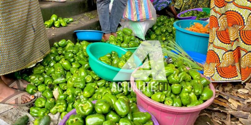 Les poivrons au marché Kahembe à Goma  