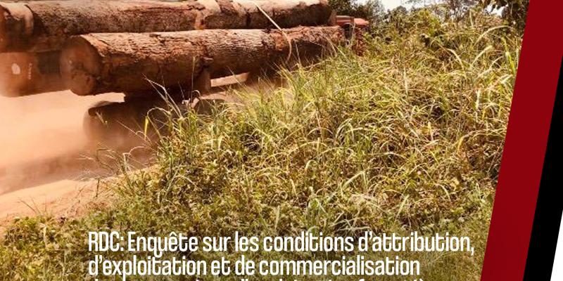 Cet article fait partie d’une série de productions dans le cadre de l’enquête menée sur les conditions d’attribution, d’exploitation et de commercialisation des concessions d’exploitation forestière