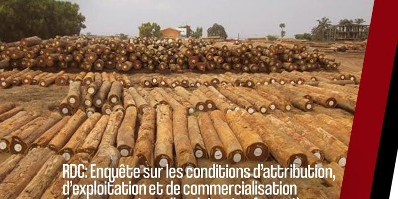 Cet article fait partie d’une série de productions dans le cadre de l’enquête menée sur les conditions d’attribution, d’exploitation et de commercialisation des concessions d’exploitation forestière