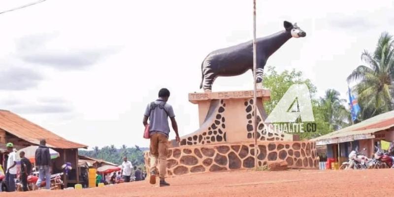 Un rond-point à Lubutu