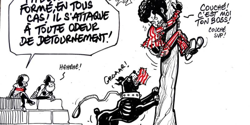 Caricature Kash/ACTUALITE.CD