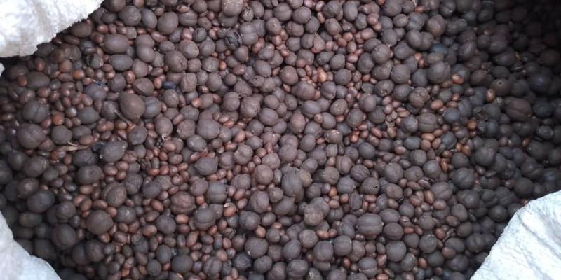 Echantillon du café impropre à la con sommation saisi à Kisangani
