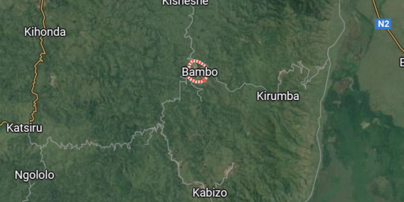 Bambo sur la carte