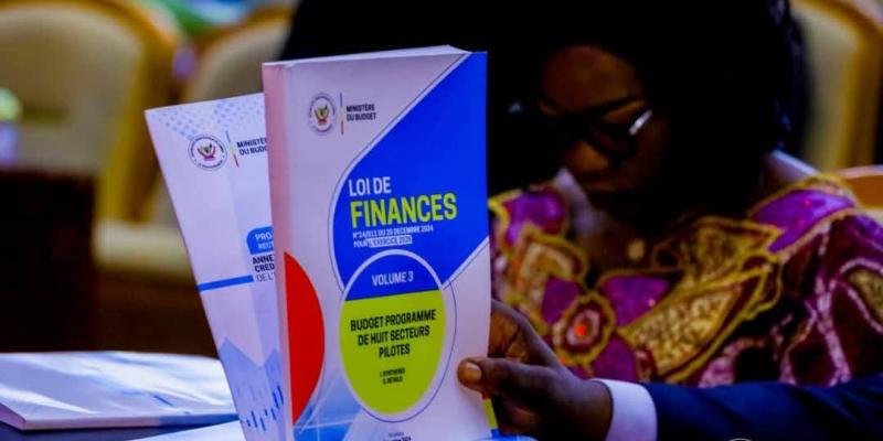 Loi de finances rectificative 2025