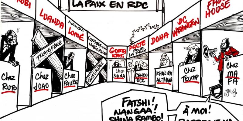 Caricature Kash/ACTUALITE.CD