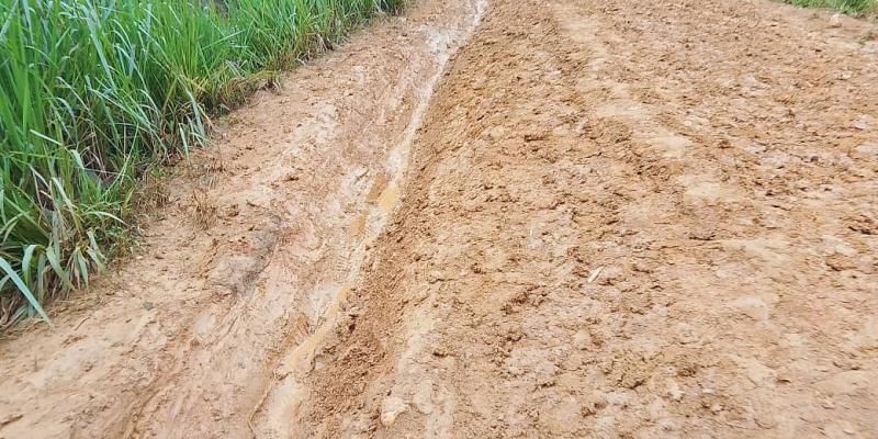 L’axe routier Walikale–Kibua