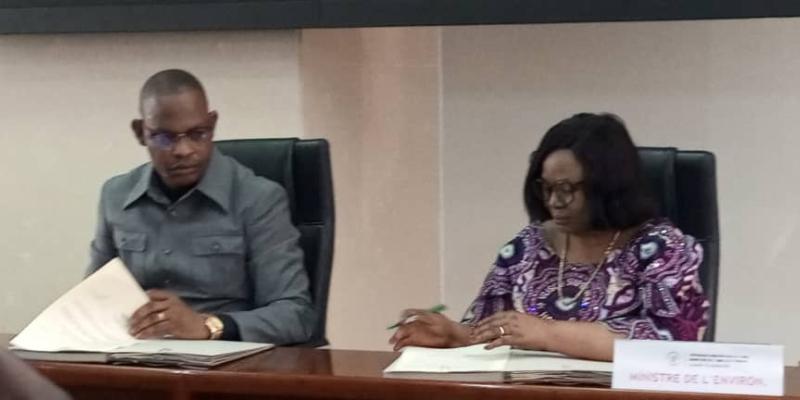 Photo d'illustration