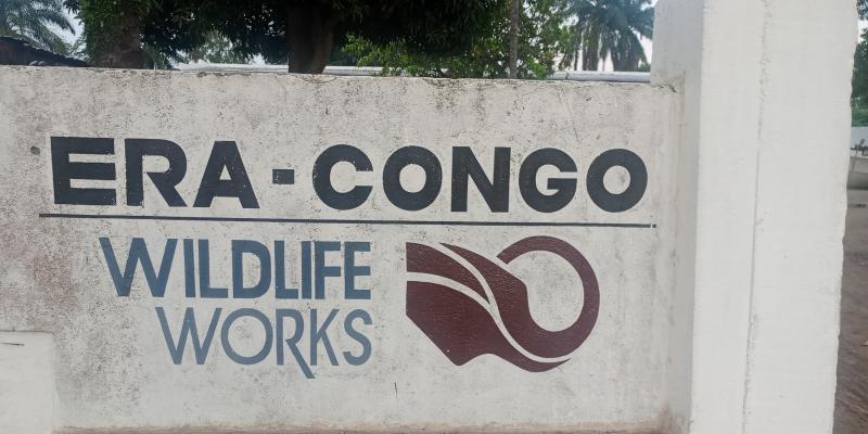 Photo d'illustration