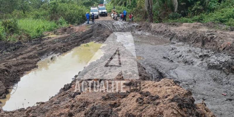 La route Nyunzu-Kongolo dans la province du Tanganyika 