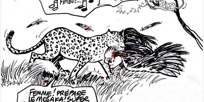 Caricature Kash/ACTUALITE.CD