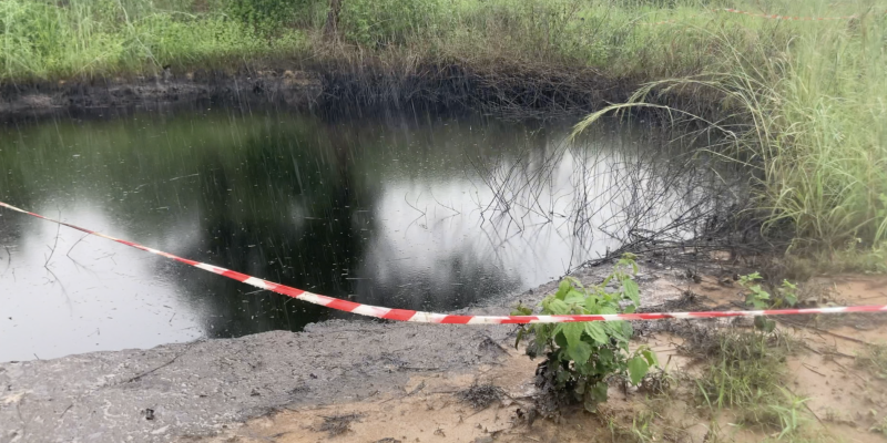 Nappe d'huile. Parc Marin des Mangroves. Muanda, RDC, 2024. Documents PPLAAF–TBIJ