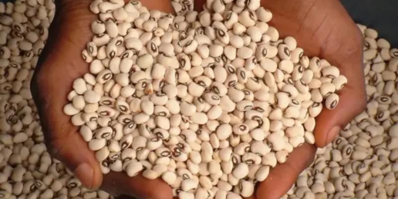 Photo d'illustration