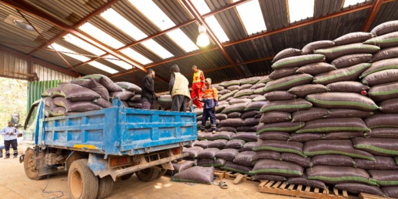 Photo d'illustration