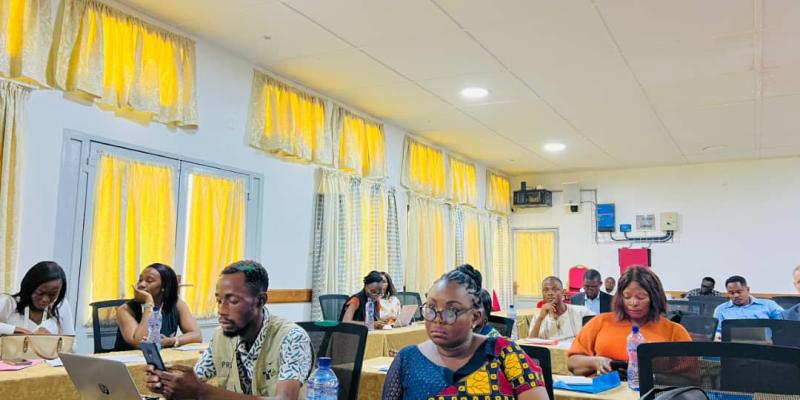 Atelier de partage d'expérience sur les méthodes de suivi citoyen des politiques publiques organisé par le CREFDL et le CNPAV 