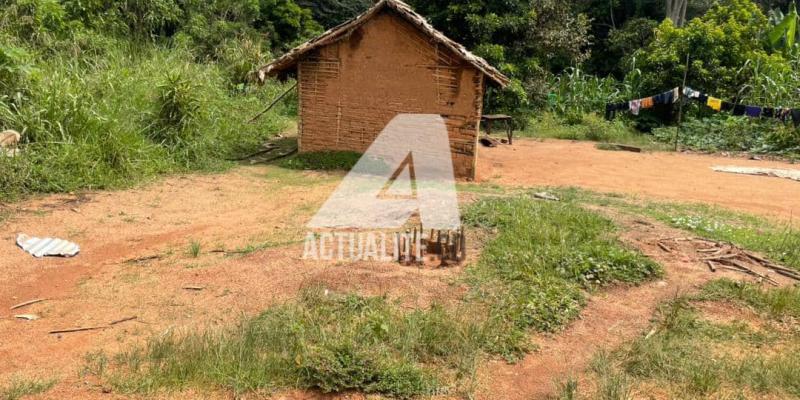 Une case à Butiaba 2, l’ancien QG de Roi des imbéciles, sur l’axe Mambasa-Beni.