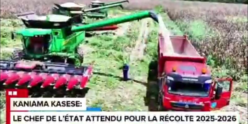 Photo d'illustration