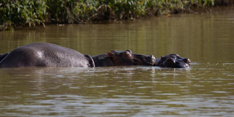 Photo d'illustration