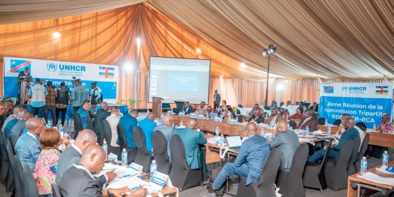 Tripartite RDC-HCR-RCA