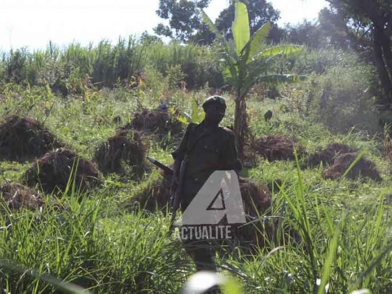 Militaire FARDC dans la forêt, près de Beni (Ph. ACTUALITE.CD/Ley Uwera) 